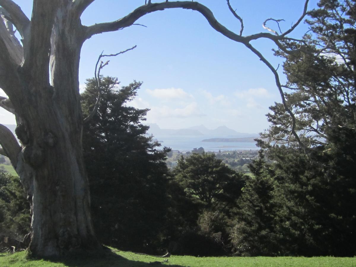 Hyecroft Lodge Whangarei Exterior foto